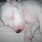 DUERME COMO BEBE!!!